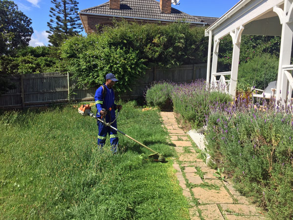 Lawn mowing service