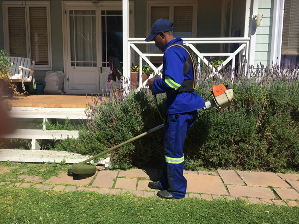 Garden Services Fish Hoek
