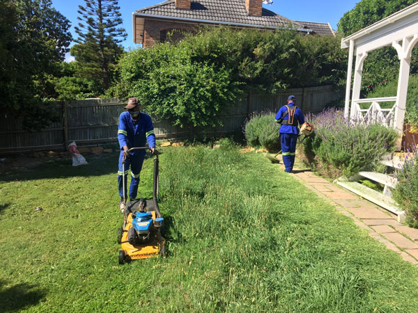 Garden maintenance Kommetjie