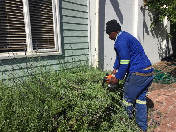 Garden services maintenance noordhoek