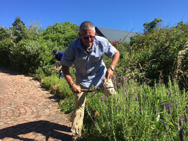 Lawn and garden maintenance southern suburbs cape town
